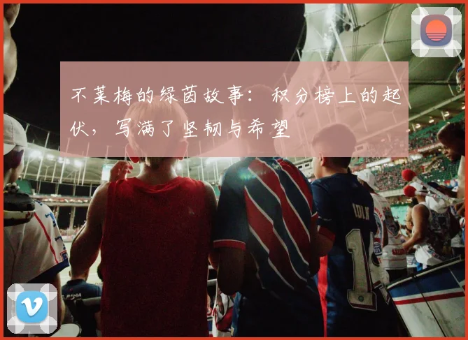 不莱梅的绿茵故事:积分榜上的起伏,写满了坚韧与希望